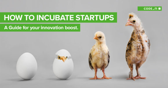 business-incubation-how-to-sucessfully-incubate-startups-guide-for-corporations-innovation-startup-cooperation-collaboration-incubator